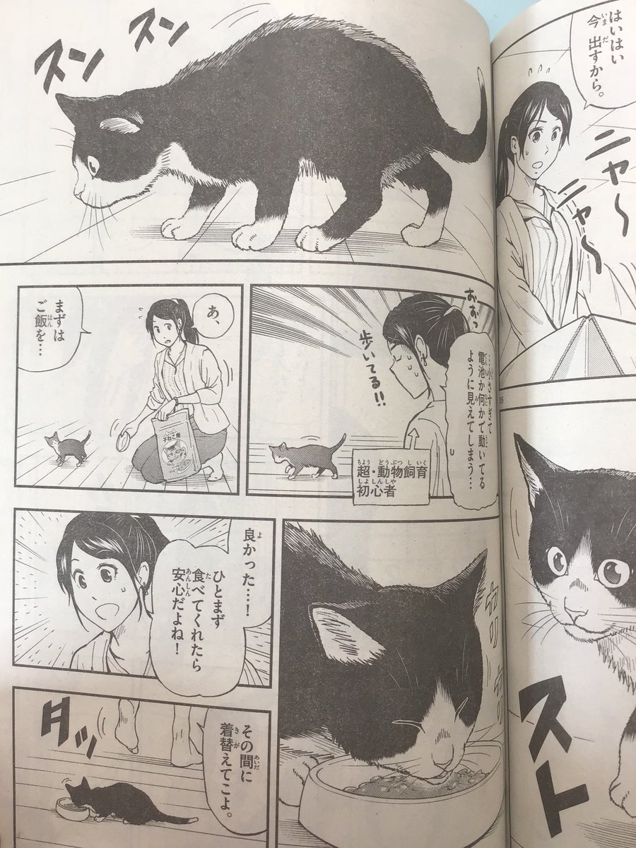 灘谷航 猫暮らしのゲーマーさん 1 6巻発売中 On Twitter 連日の宣伝失礼します 本日発売のサンデーs 1月号より 猫暮らしの ゲーマーさん の連載始まりました 今回の主役猫はハチワレ猫さんです どうぞ宜しくお願いします Https T Co Ohkqs4pe1s Twitter