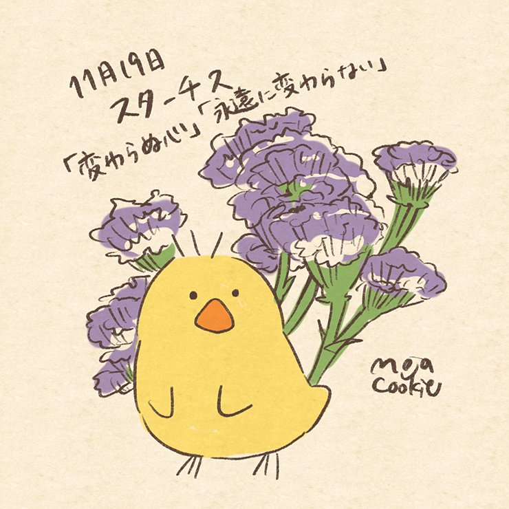 もじゃクッキー 京都個展1 11月19日 日 21日 22日がお誕生日のみなさん おめでとうございました それぞれ 誕生花は スターチス 月下美人 ランタナ 白いバラ でした 誕生花とどうぶつさん T Co Q1mrgo3cmn Twitter