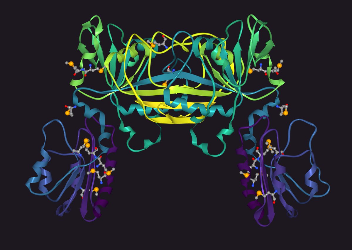 book small molecule dna and rna binders from synthesis to nucleic acid