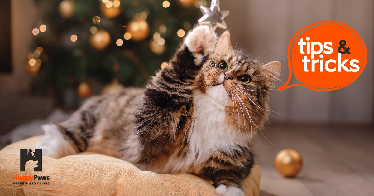 “Cats and Christmas trees can be a recipe for disaster if you’re not careful. Before you put the tree up, take a few moments to go over some safety precautions to keep your cats and Christmas trees under control.”

#petcare #unconditionallove

petplace.com/article/cats/p…
