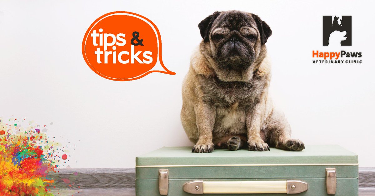 “Depending on how far you’re going to be traveling, and the means of transportation you’re taking to get to where you’re going, your options for what to do with your puppy during the holiday may be decided for you.”
#tipsandtricks #petcare #happypaws

petplace.com/article/dogs/p…