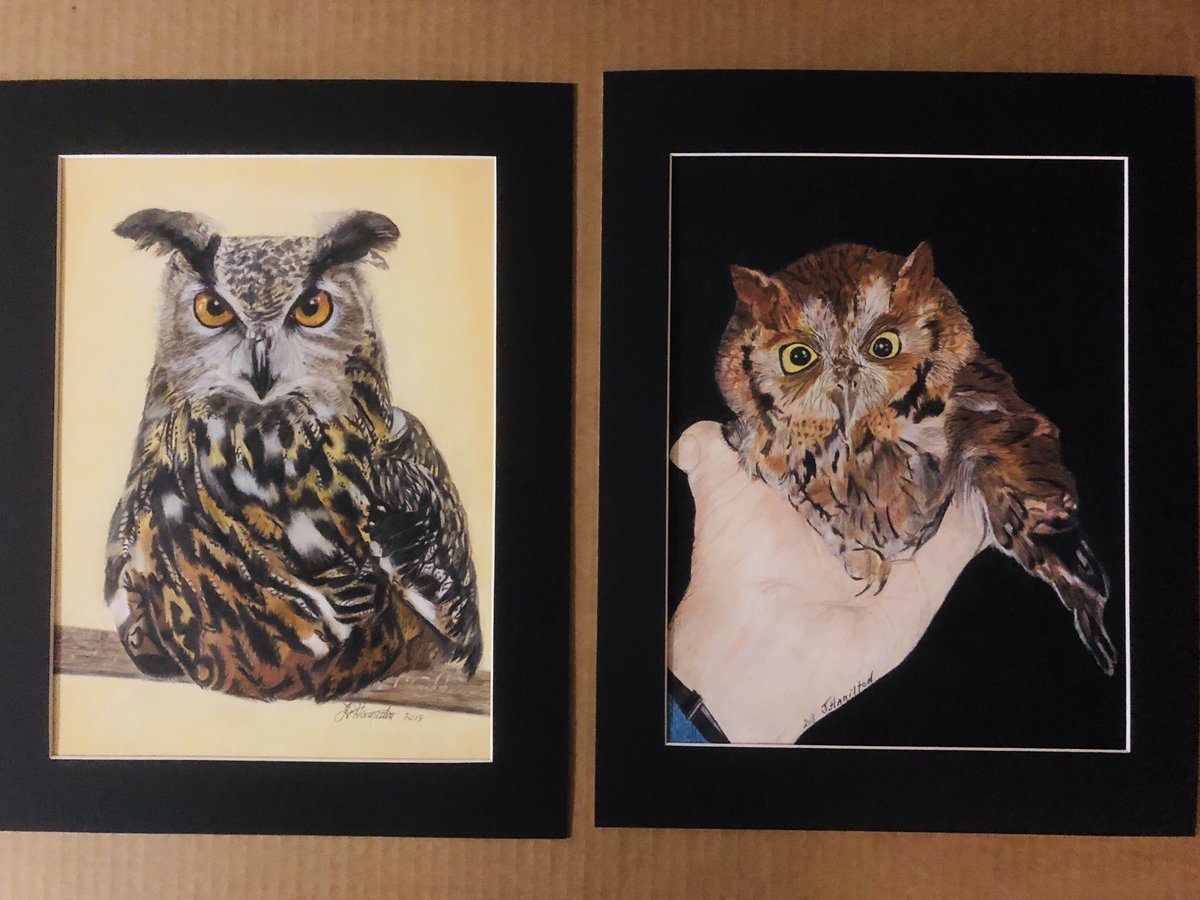 JudithV's tweet image. Christmas commission. photo use with permission &amp;amp; Pixabay.
Colored pencil, luminance Pablo is, Polys..