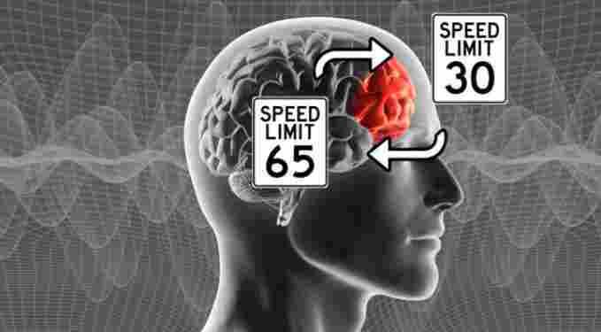 sciencebeta's tweet photo. When you slow down after exiting the highway, or hush your voice in the library, you’re using this brain mechanism https://t.co/r0gTrMYDRI https://t.co/1IeUCdkvUj
