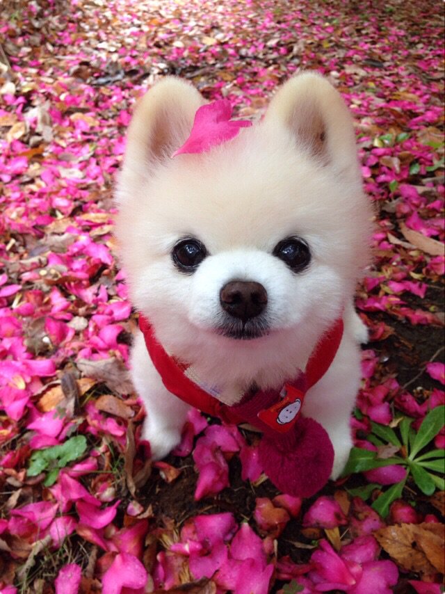 shun mama tweet media