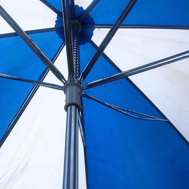 droidy's tweet image. In case of rain... #umbrellatime #springinmelbourne ift.tt/2TFd3rB
