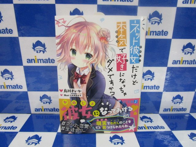 アニメイト聖蹟桜ヶ丘オーパ 書籍入荷情報 Mf文庫j ネット彼女だけど本気で好きになっちゃダメですか エイルン ラストコード 9巻 あまのじゃくな氷室さん 4巻 １４歳とイラストレーター 6巻 本日入荷致しましたセキ T Co