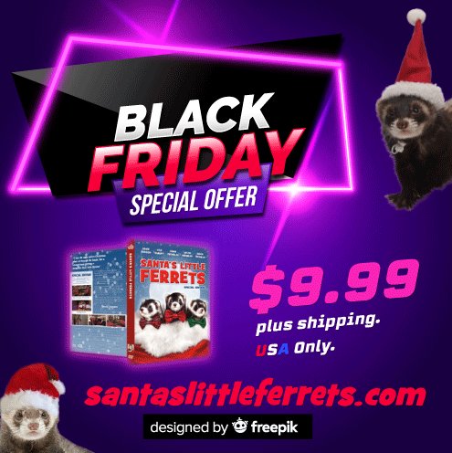 SantasFerrets's tweet photo. BLACK FRIDAY SAVINGS END IN JUST A FEW HOURS! SANTA'S LITTLE FERRETS Special Edition DVD's are ON SALE for just $9.99 only at --> https://t.co/uWuj5hhvhN #ferrets #christmas https://t.co/tKeA6Sd9bf