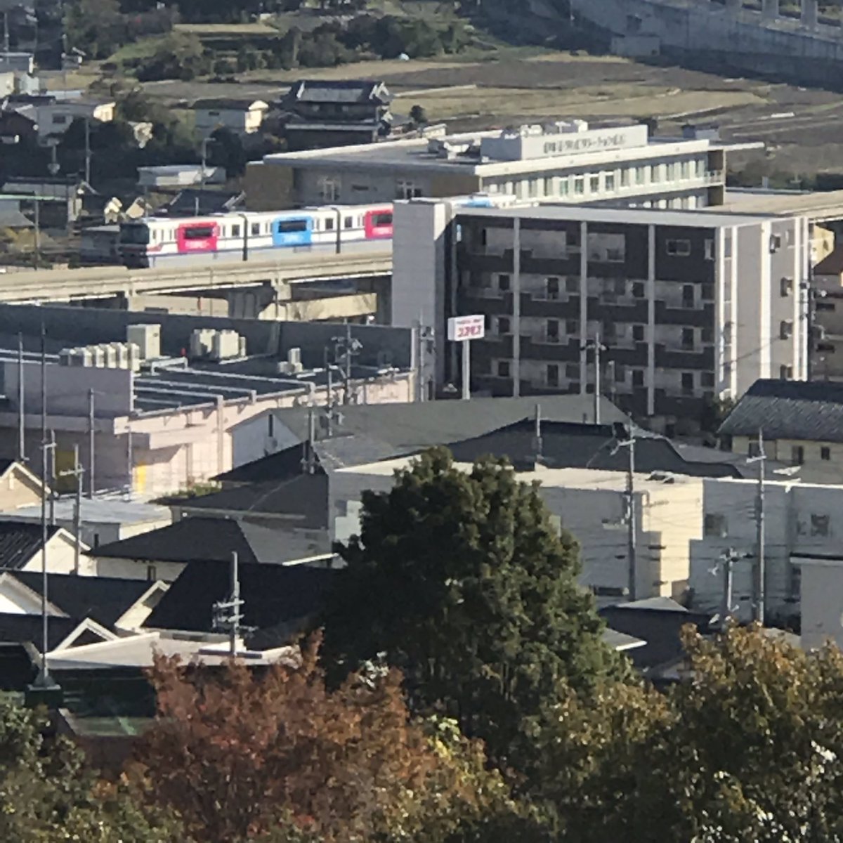 大学 語 大阪 外国