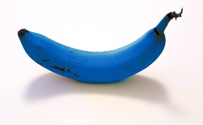 ambivertizreal's tweet photo. RT this blue banana within 5 seconds to pass this semester. https://t.co/h1hKoqNwWO