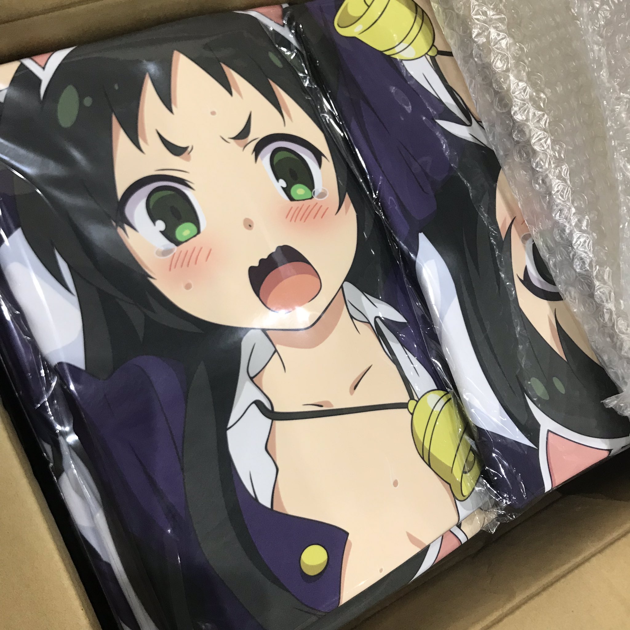 おすすめネット 未開封品 ツインエンジェル 抱き枕カバー 葉月クルミ