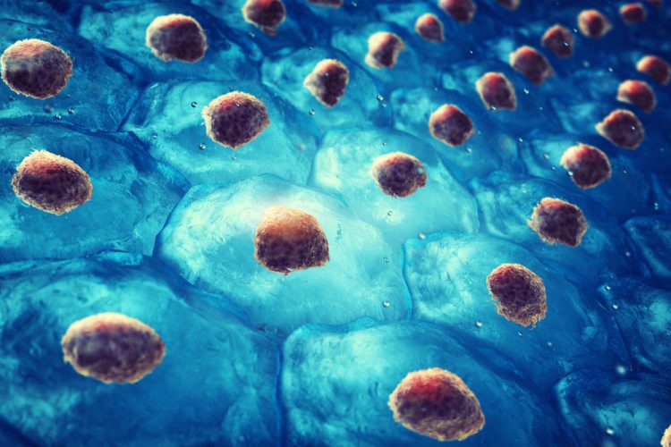 Some people might think that stem cells are universal and they can match any cell in the body, but that's not true.

However, Pluripotent Stem cells can morph into 200+ types of cells, the only thing they need is to be programed to do so.

Learn more: scia.io