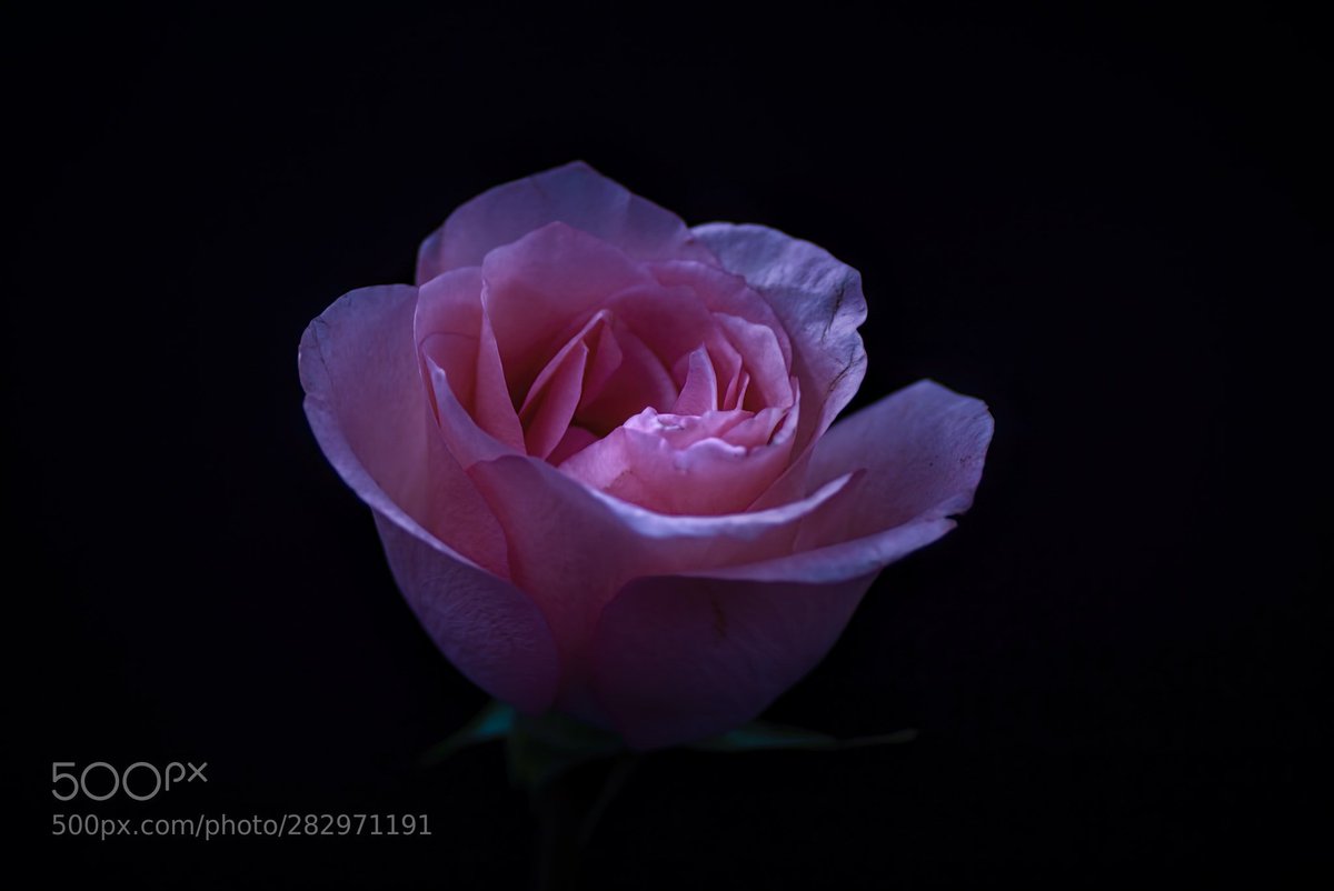 Table Mountain Pics tweet media