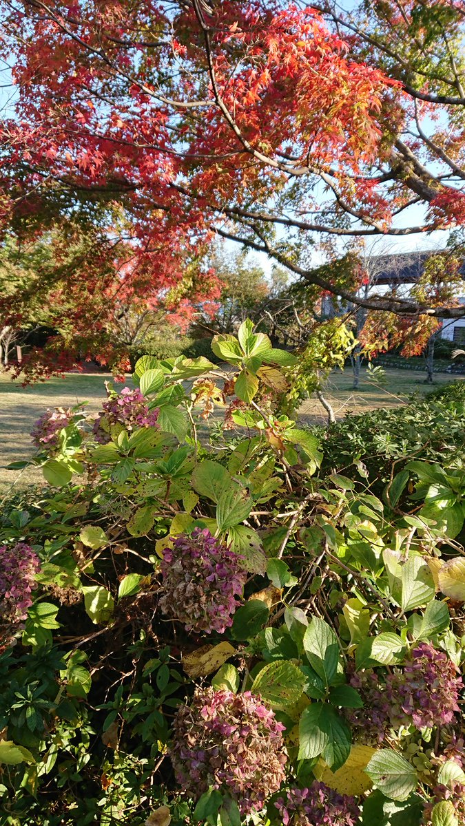鳥羽山公園 鳥羽山公園