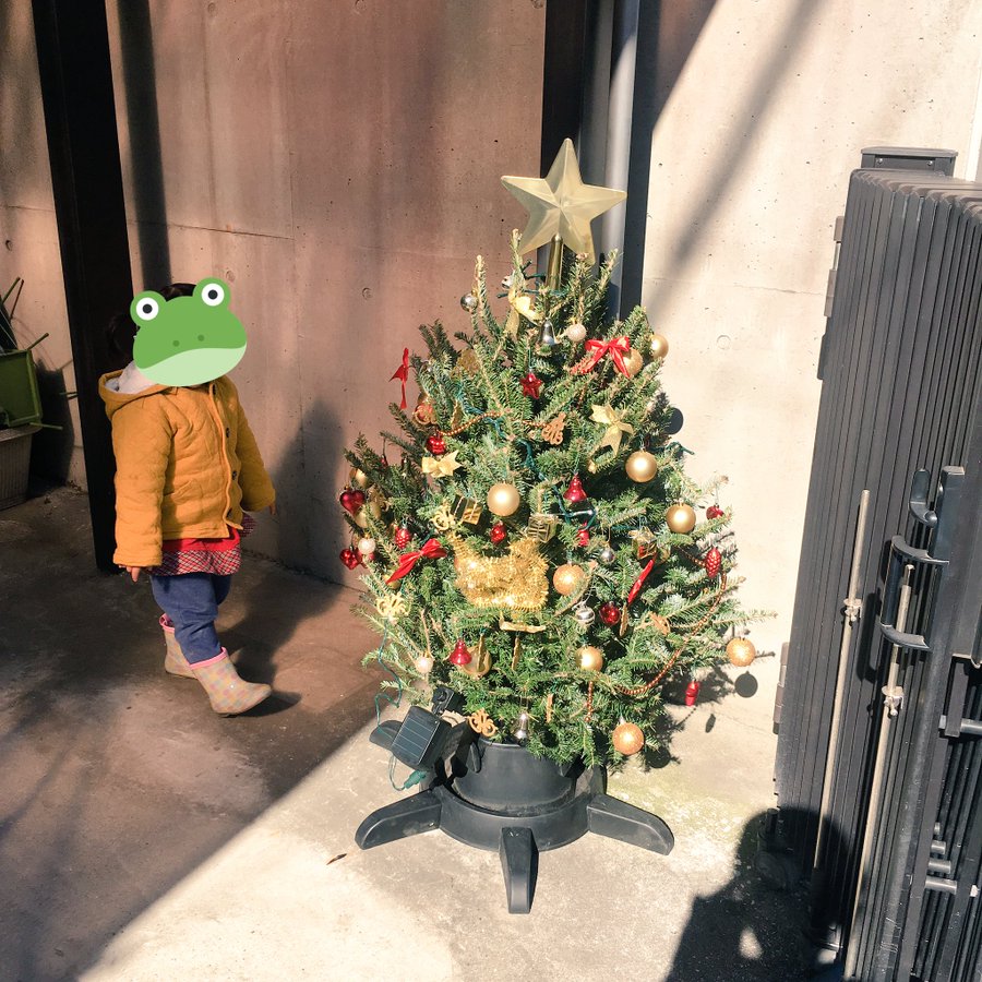 イケア長久手18本物のもみの木販売日をレポ即日売り切れ 種類 買い方と値段をまとめました Topic Sense