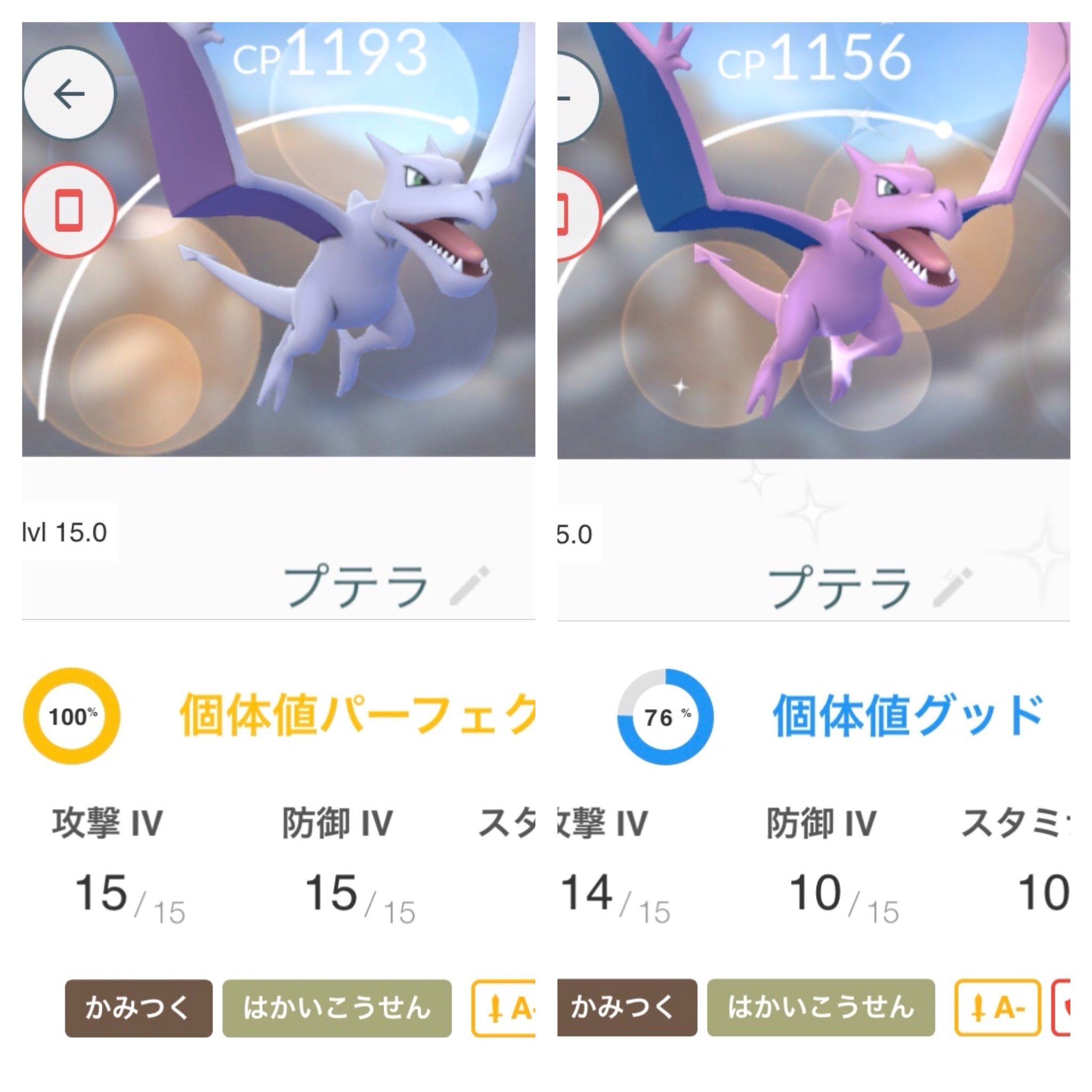 تويتر ポケモンgoプテラ بحث تويتر