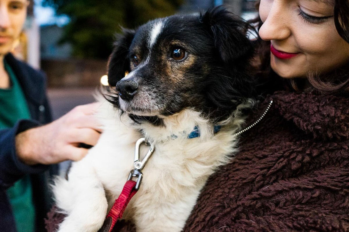 Chapel A Today tweet media