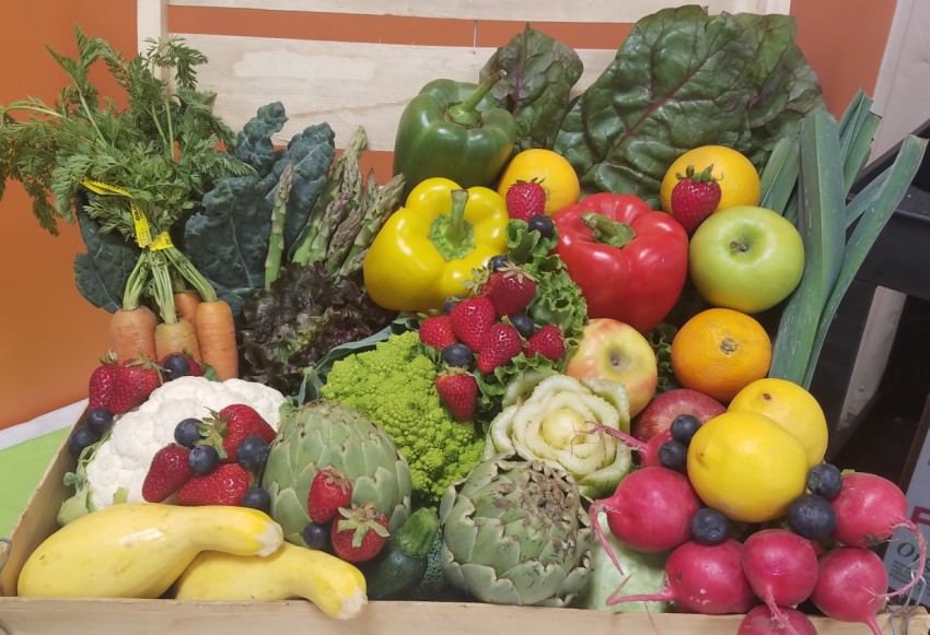 SBCFoodBank's tweet image. Learning about Community FoodBank's work to address hunger for residents from all walks of life was made easier and farther-reaching thanks to this recent article on @BenitoLink  
bit.ly/2r5kifj
#12DaysofGiving #localgood #sanbenitocounty