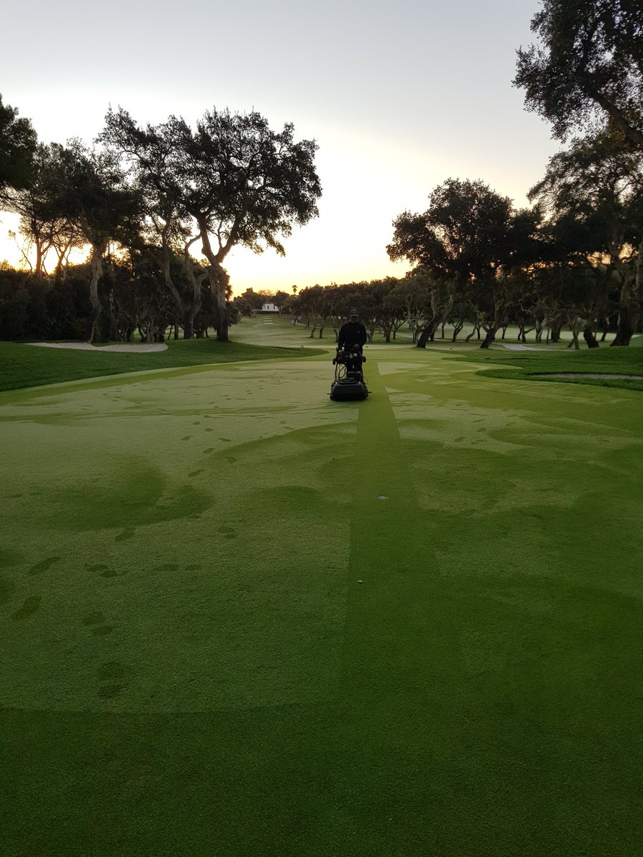 AgronomyRCV's tweet photo. The sun through the shadows of the  beatiful Cork trees, after a Long time, it is coming again!!. Today The course will appreciate it a lot after one week 🌧 .. 🌞⛳
@valderramasters @RcValderrama #hoyo1 #corktrees #shadow #greenkeepers #ready #sotogrande #Spain. https://t.co/IQXOJraGSn