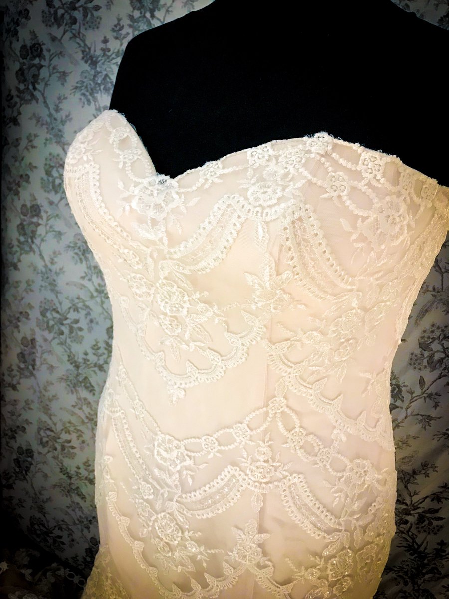 plussizebrides's tweet photo. This is our first blush gown, with beautiful vintage lace detail, our sample size is a size 20 #beautifulbrides #curvybrides #loveyourcurves #hinckley #leicestershire #plussize #plussizefashion #plussizebrides #plussizebridal #curvybride #weddingdress #bridetobbe #curvy https://t.co/4My6GcDJ5C