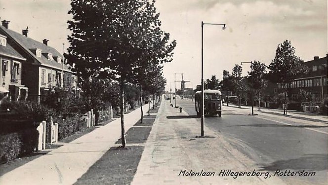 inHillegersberg's tweet photo. De Molenlaan #Hillegersberg in vroeger tijden. Met molen 'De Vier Winden' op de achtergrond. https://t.co/oWn38SkWf8