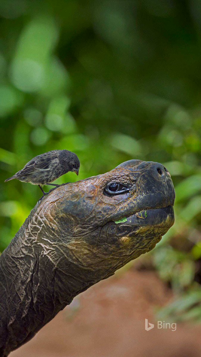 epub War on the Waters: The Union and Confederate Navies,