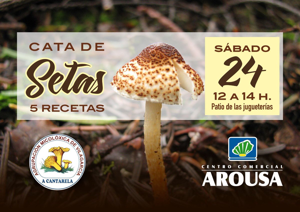 Hoy cata de setas de la Agrupación Micoloxica de Vilagarcía A Cantarela con el chef Rubén García Castrelo (PATXI)
1.  Esponja de setas.
2. Croqueta líquida de hongos.
3. Guiso de garbanzos, bacalao y setas.
4. Setas,maíz y xoubas.
5. Chili crab y pleurotus.