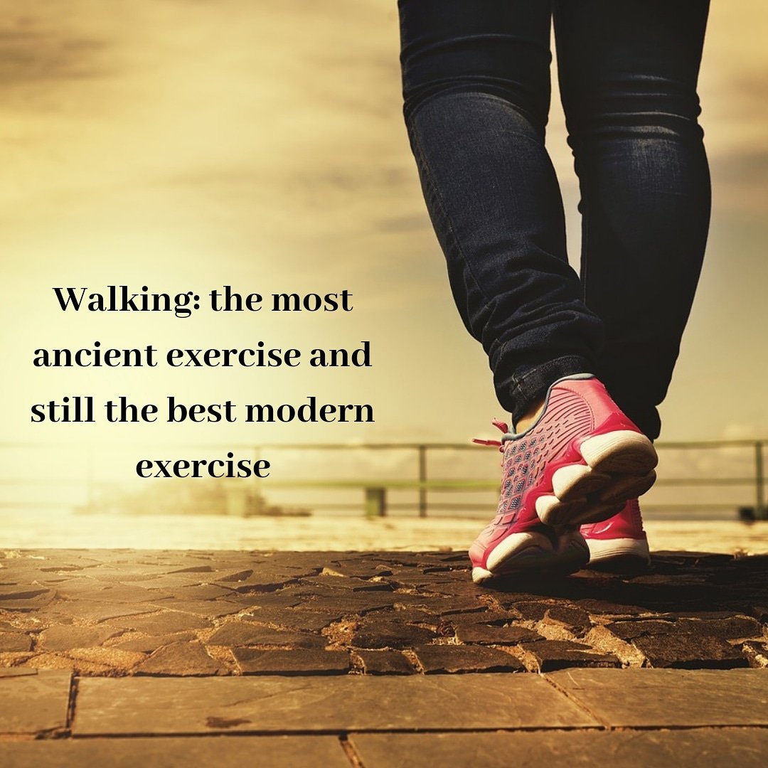 Quotes About Walking Exercise Fitmore4U On Twitter: "Is It True ? 🤔 . #Fitmore4U #Fitness #Exercise # Quotes #Walking #Walkquotes #Malaysian #Malaysia Https://T.co/Alzaocs7Lp" /  Twitter