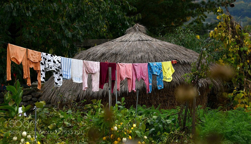 Table Mountain Pics tweet media