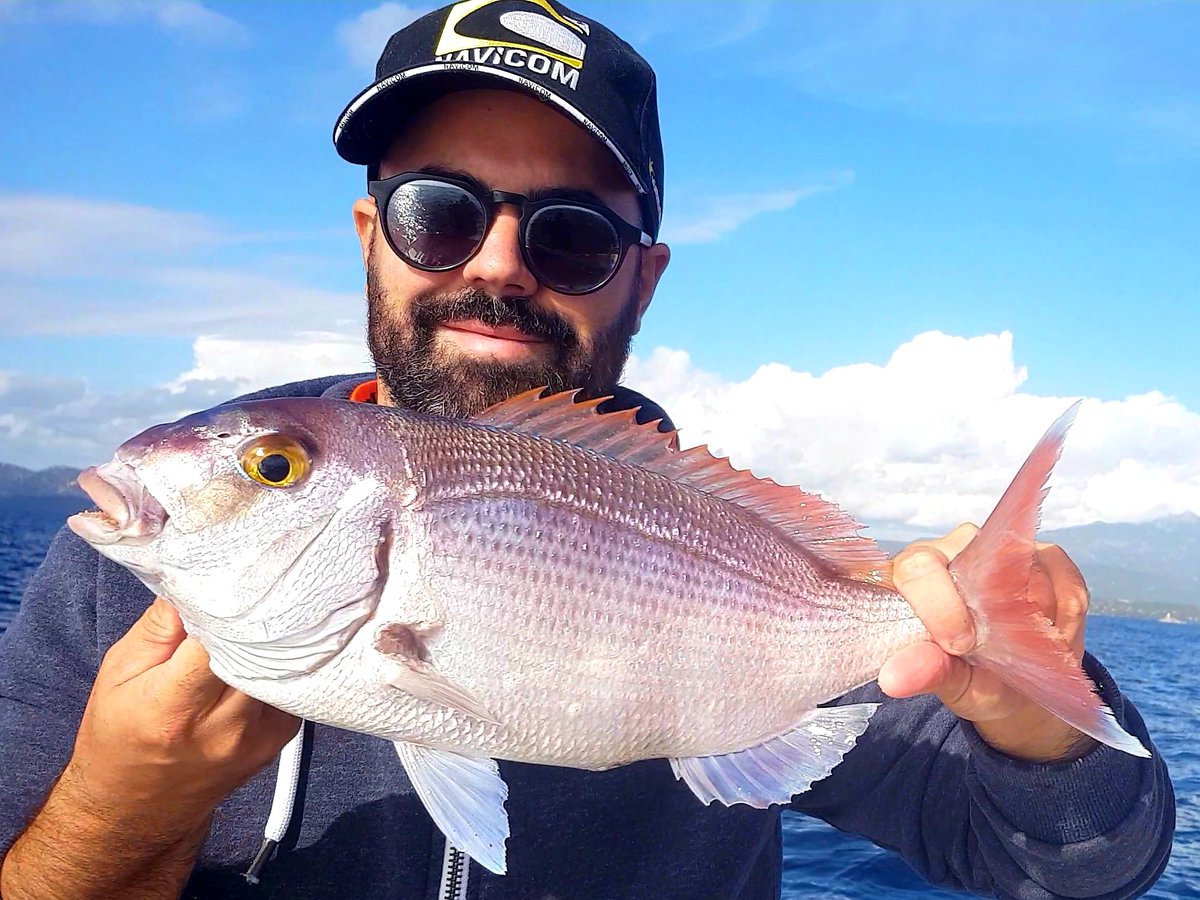 paNdhax_'s tweet photo. Voilà un petit Pagre , mon plus gros pour le moment pêcher au Tenya une technique que j'apprend doucement #corse #mer #fishing #corsica #love #nature #nostresse #pagre #pandhaxilpechecechien https://t.co/BW2q6uHDuQ