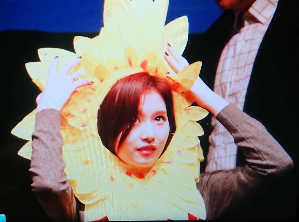 TZUYU213's tweet image. 해바라기단ㅋㅋㅋㅋ