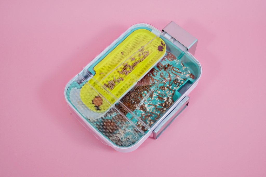 Livinfarms's tweet image. It really goes well with pink, doesn't it?😍
Beautiful smart kit!
&amp;gt;&amp;gt; bit.ly/HiveExplorer 
Don´t miss out 🙃 to support people and co-creating a healthy planet.

#STEM #education #edibleinsects #recycling #foodwaste #fertilizer #protein #startup #crowdfunding #insectsandcoding