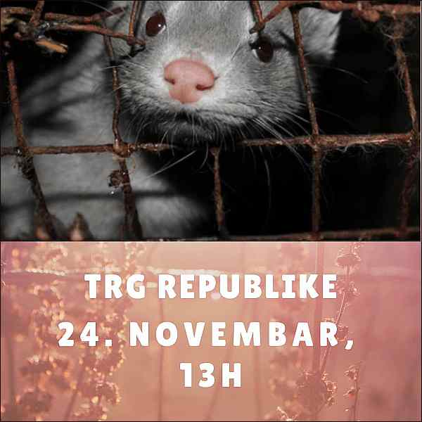 szzorg's tweet photo. Pozivamo Vas na Marš za zabranu uzgoja životinja radi krzna - https://t.co/PE8LqvI6I6 https://t.co/hFPae3Cr92