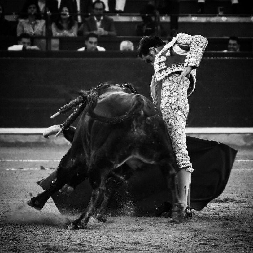 prensaElFandi's tweet photo. “La diferencia entre un torero y el resto de los mortales es que un torero hace realidad lo que el resto no son capaces ni de soñar”. 

#ElFandi2018 https://t.co/aVqbCJVCuO