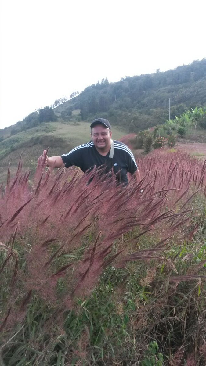 "Siempre dicen que el tiempo cambia las cosas, pero en realidad el que cambia es uno mismo"