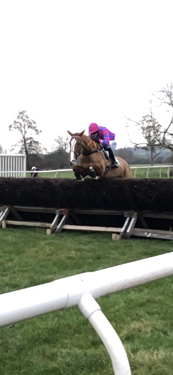 Cavs Girl coasts home to win the mares and fillies maiden @EatonHall for owner Martin Oliver #GoPointing #startaswemeantogoon @GoPointing #MaxYoungRacing