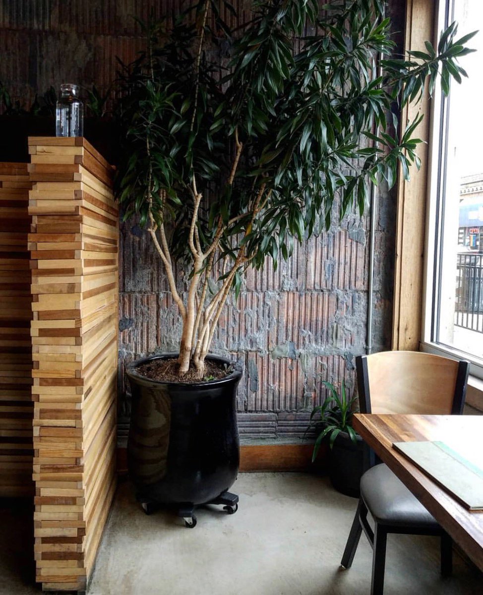 GreenSpace Cafe tweet media