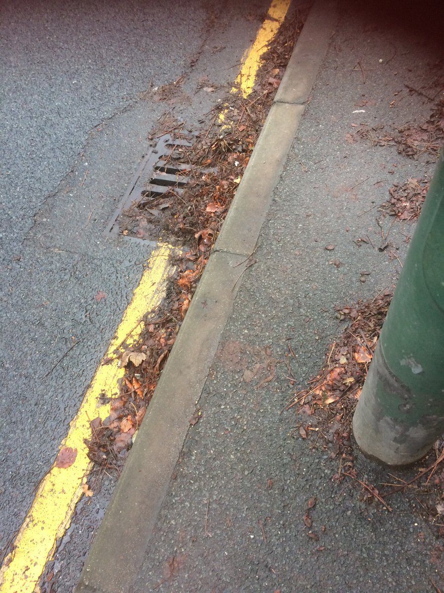 drum lavinia tweet media