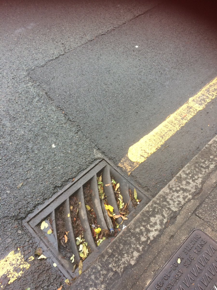 drum lavinia tweet media