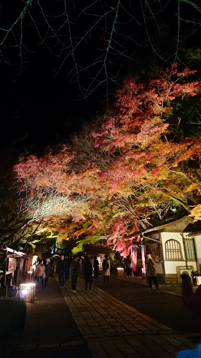 Signhair ｻｲﾝﾍｱｰ 山科駅美容院 على تويتر 石山寺のあたら夜もみじ 紅葉ライトアップ 歌のライブなんかもあってよかったです 石山寺 紅葉 ライトアップ 紅葉パラダイス 山科 駅美容院 山科駅美容室 Signhair サインヘアー