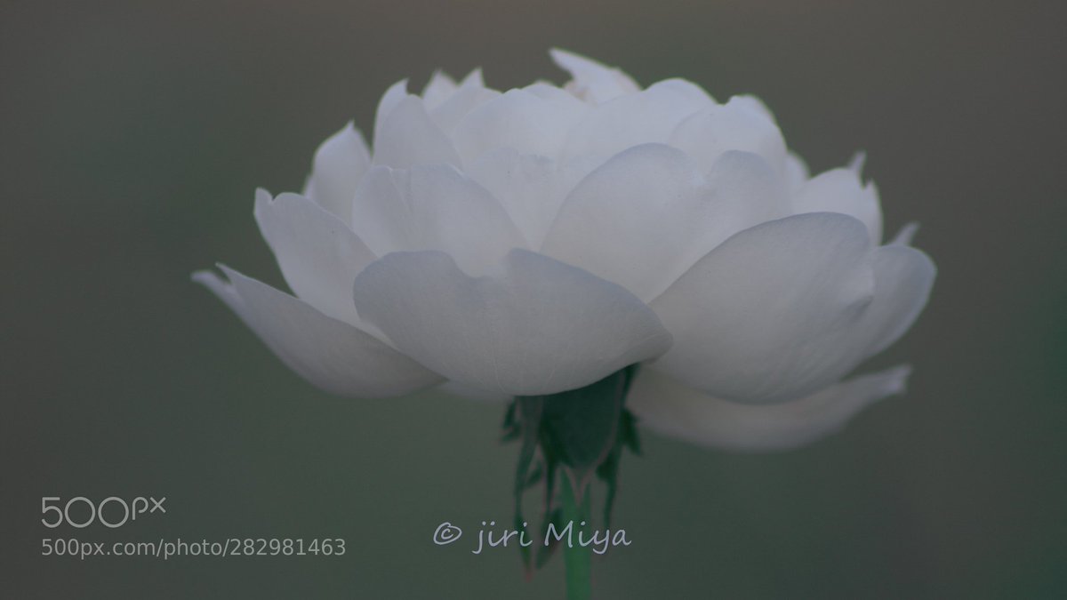 Table Mountain Pics tweet media