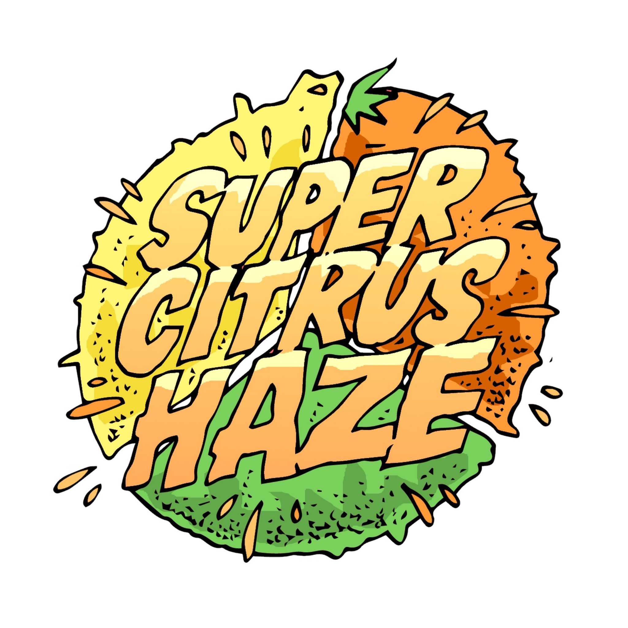 Seedsman On Twitter Day Four Of Our Black Friday Sale For 24hrs Only 5 X Super Citrus Haze Fem When You Spend 100 On Any Seeds Limited Stock Https T Co Vjyhfmtdmk Https T Co Uyrpks0jzw