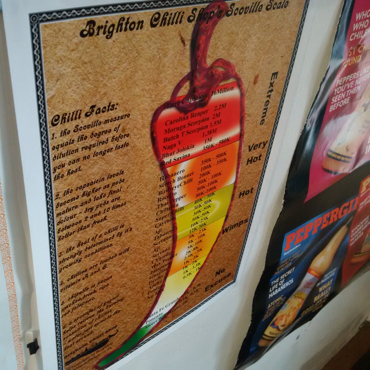 Scoville scale gift option #brighton #hove #chilli #gifts