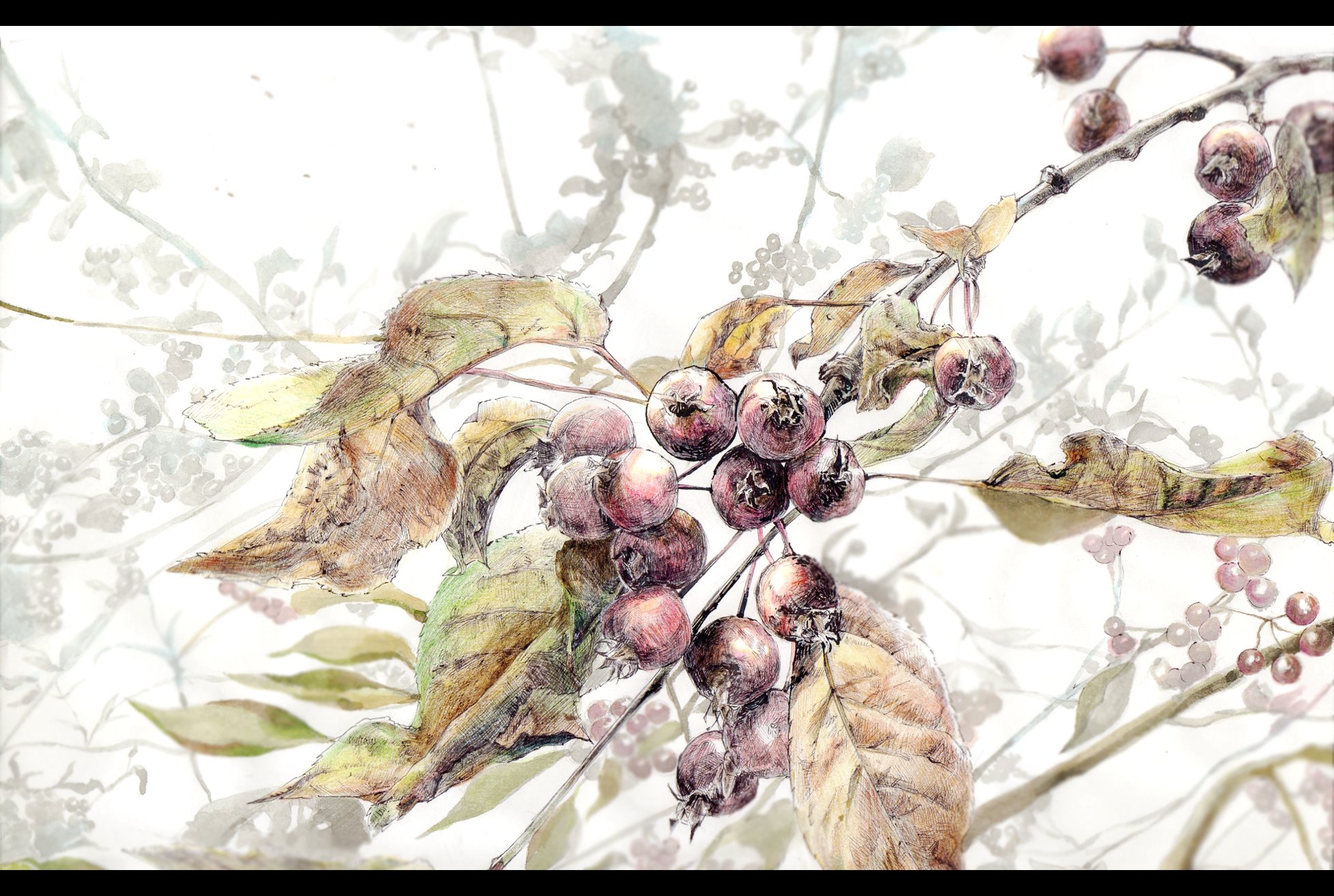 陽風穹 ボールペンと水彩画 T Co Qobarpubji Twitter