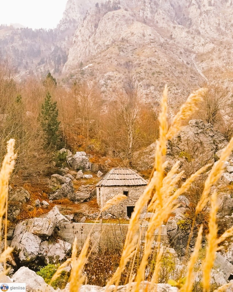 coloursALB's tweet photo. Autumn details 🌰🍁🍂
#Valbonë #Lëpushë #Theth #Tiranë
#ColoursofAlbania2018 🇦🇱📸 #Albaniathroughyoureyes 💛🦋 https://t.co/a08LHUm2y1