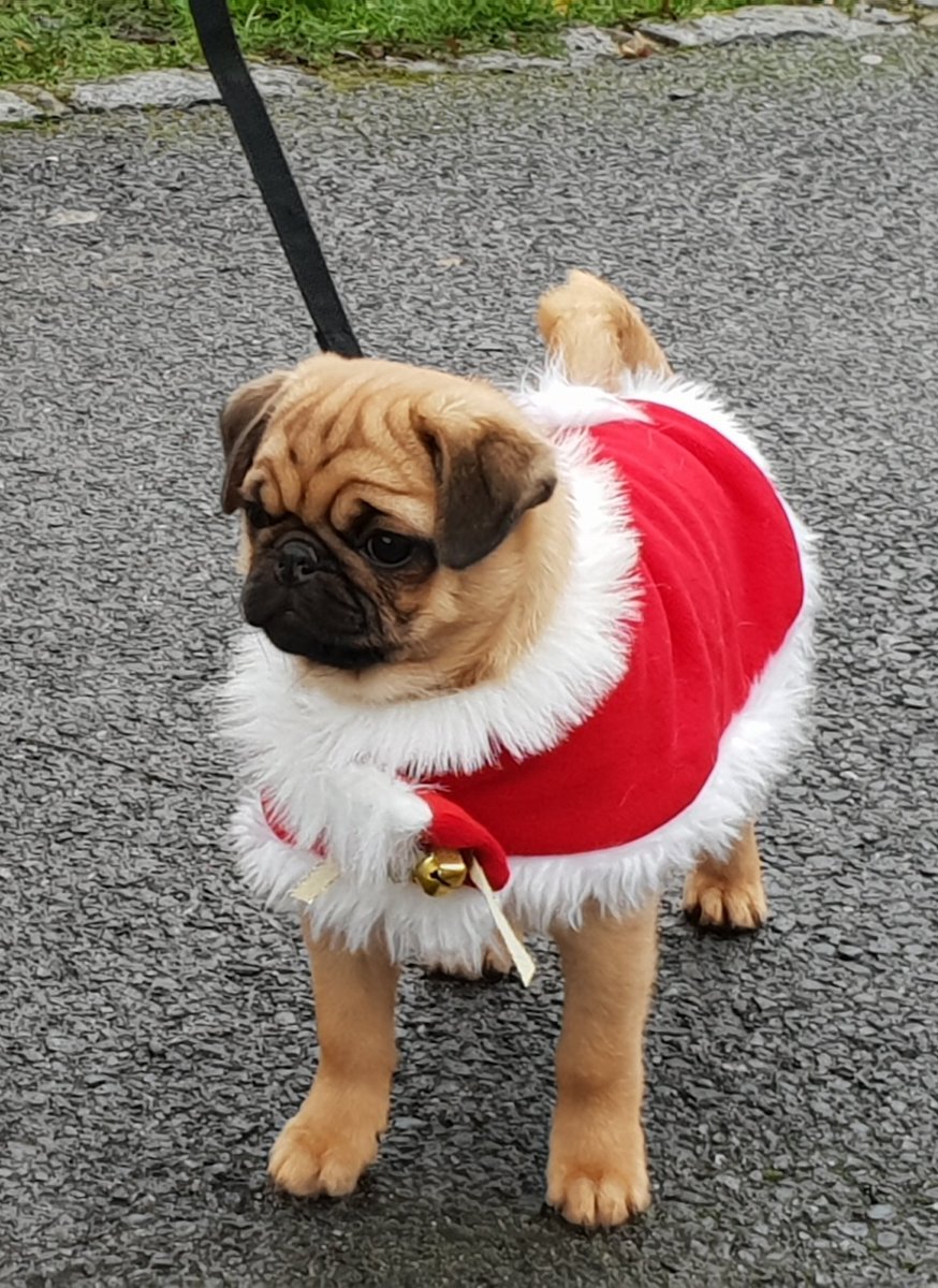 Supporting <a href="/Childrens_Trust/">The Children's Trust</a> today at the annual Christmas Fair in Tadworth 😊 pop in.