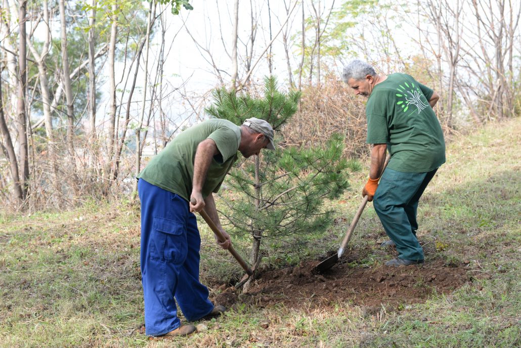 GradPg's tweet image. Posađena hiljadita sadnica za pošumljavanje u ovoj godini💚
@GradPg, gradsko preduzeće #Zelenilo i #CityGroovFestival, na brdu Ljubović danas sproveli zajedničku akciju sadnje 100 sadnica
podgorica.me