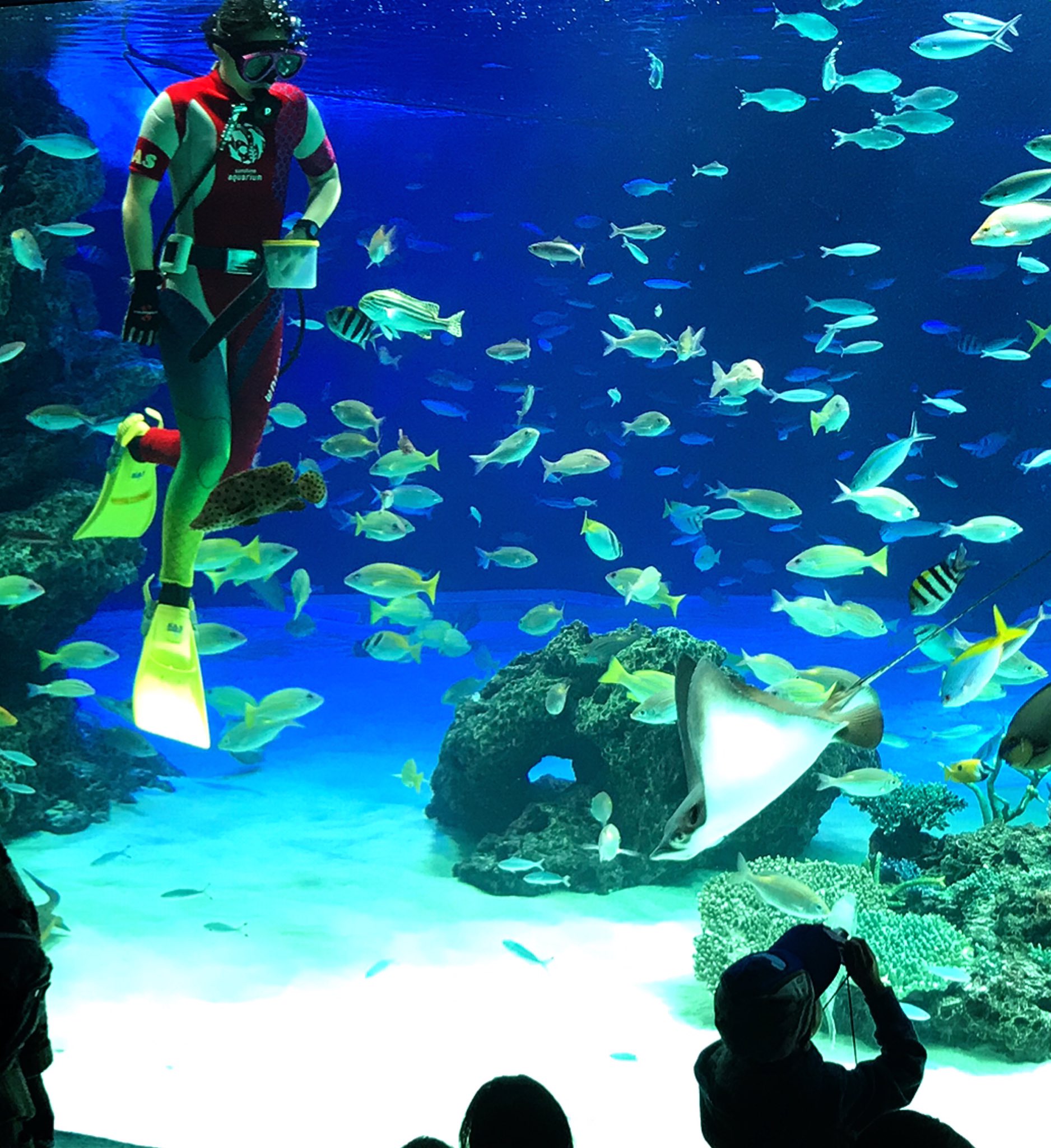 甘党ダイバー 昨日は奥さんが仕事だったので サンシャイン水族館で娘とデート 高校二年生で そろそろ受験だけど 水族館 に行きた い と言われたら 勉強は とは言えなかった 来年は流石 甘党ダイバー 昨日は奥さんが仕事だったので サンシャイン水族館で娘とデート 高校二年生で そろそろ受験だけど 水族館 に行きた い と言われたら 勉強は とは言えなかった 来年は流石