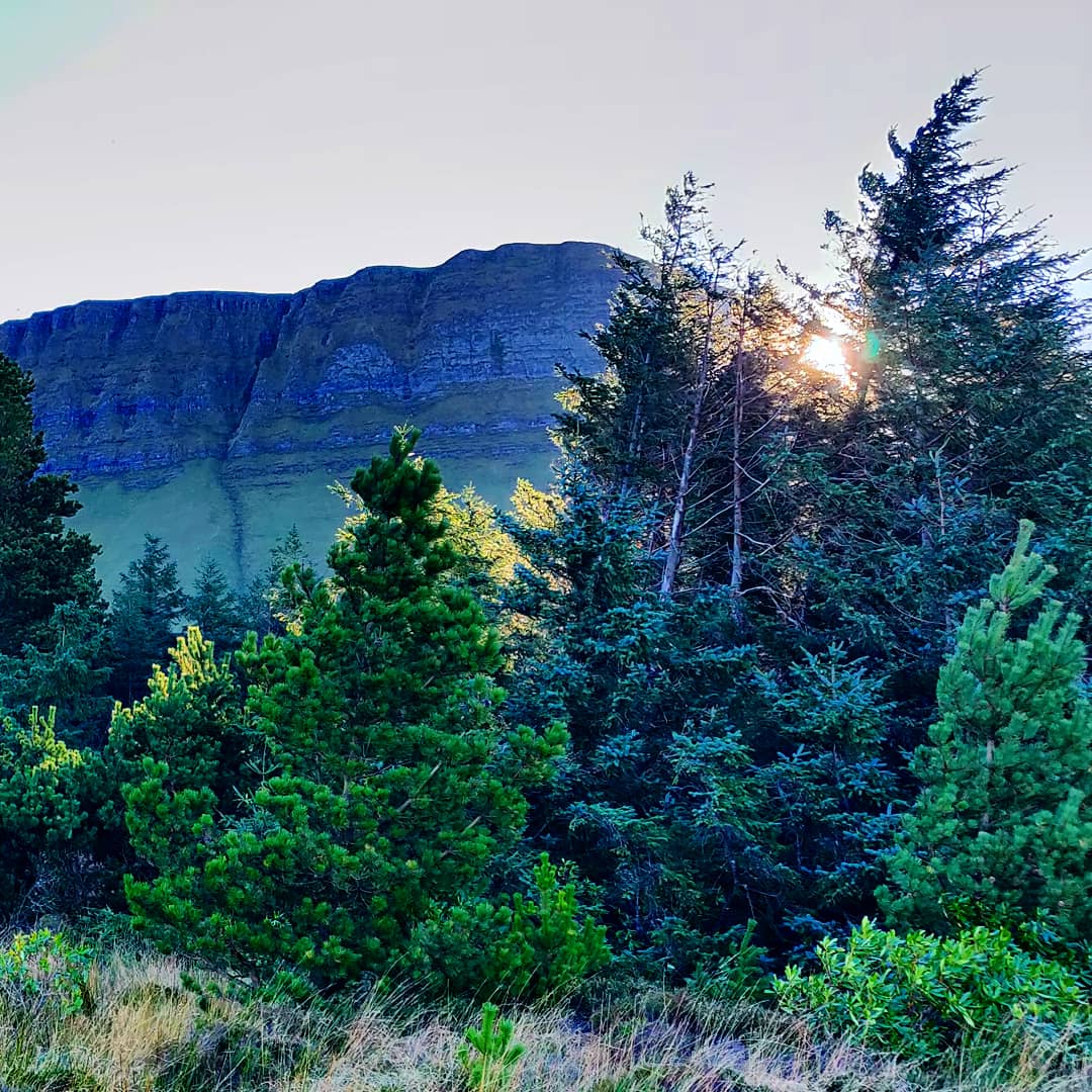 A few more pictures from around Benbulbin last weekend. #benbulbin #sligo #ireland #weekendadventures #sligowalks #instaireland #walkingtrails #wildatlanticway #amateurphotography instagram.com/p/BqkByr2AE6l/…