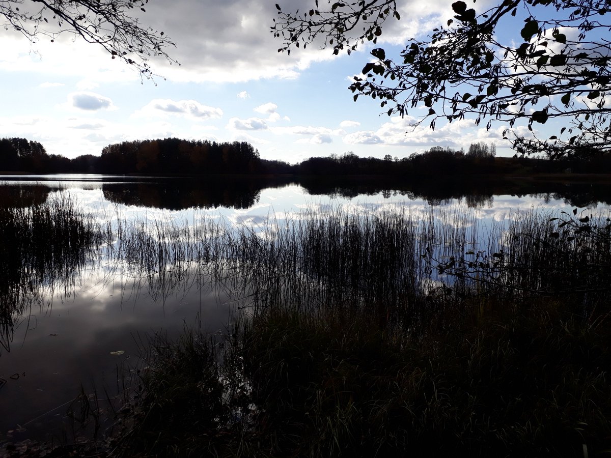 ERASMUS_Exp_Lit's tweet photo. You are tired of travelling all those beautiful cities in and around Lithuania and need some rest? Then peaceful Aukstaitija National Park is the perfect destination for you!

https://t.co/8RwCGRe8yY

#ERASMUS #Experience #Lithuania #nature https://t.co/i0NvtNwZVG