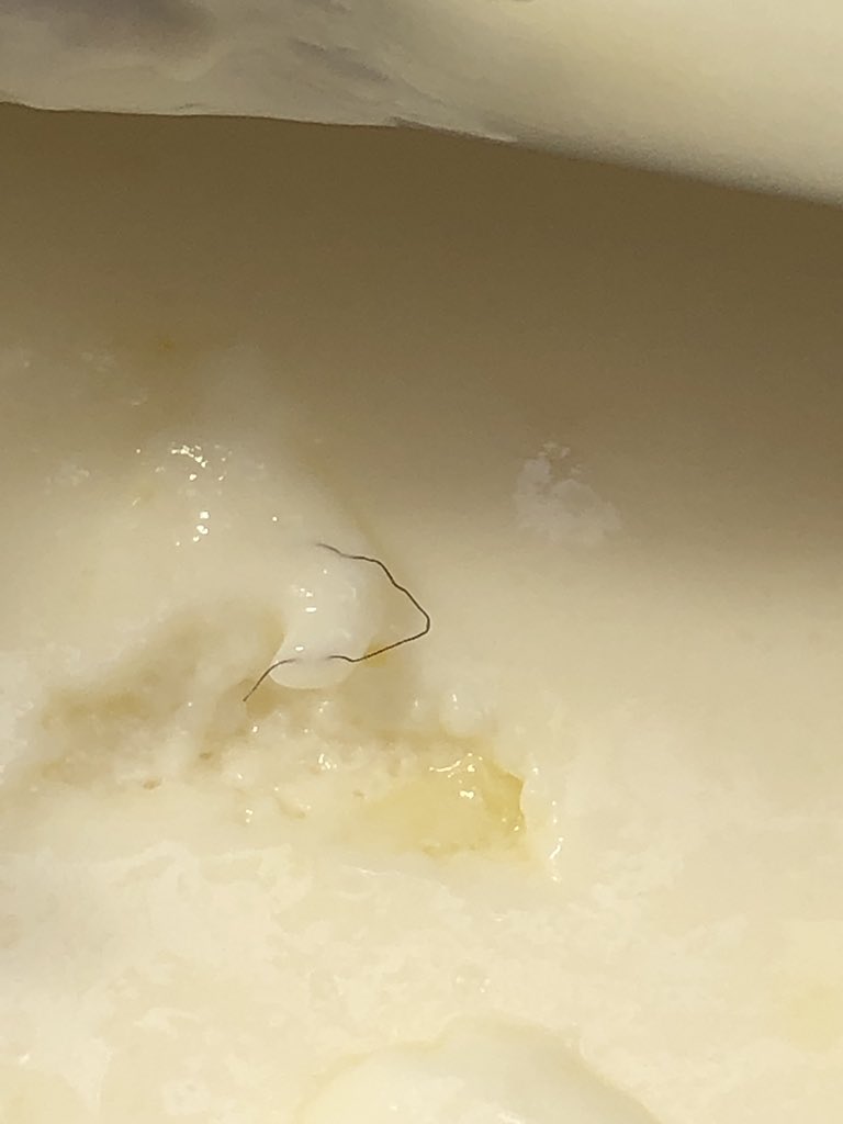 Comprar una Nube de Leche de <a href="/NestleCL/">Nestlé Chile</a> y que te salga un pelo en su interior 🤮